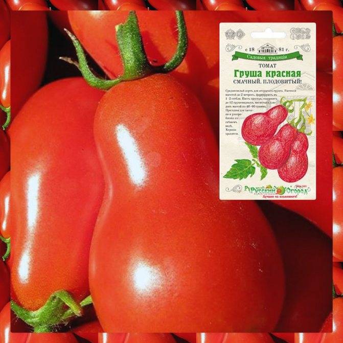 Самые ранние сорта томатов для сибири