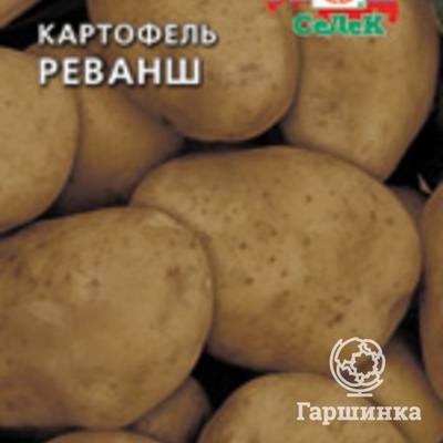 Картофель реванш: описание сорта, фото, отзывы