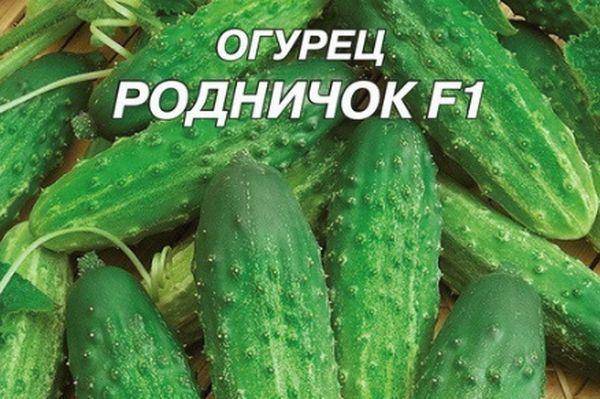 Огурец «родничок f1»: описание гибридного сорта, фото и отзывы