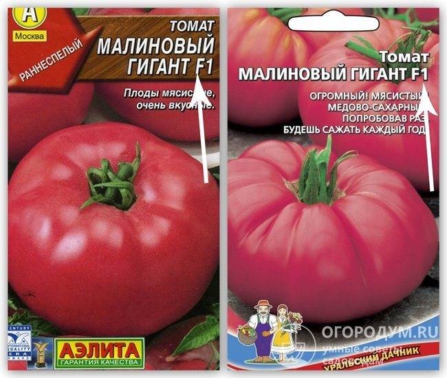 Томат розовый гигант — отзывы опытных огородников