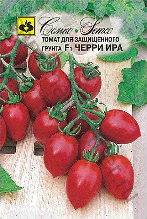 Томат черри "ира": описание сорта, отзывы, фото