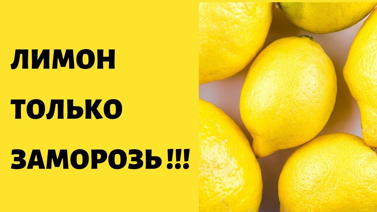 Польза и вред мороженых лимонов при сахарном диабете, похудении, простуде – портал "стань лучше"