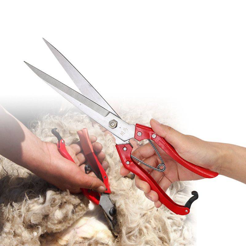 Как выбрать ножницы для стрижки овец?