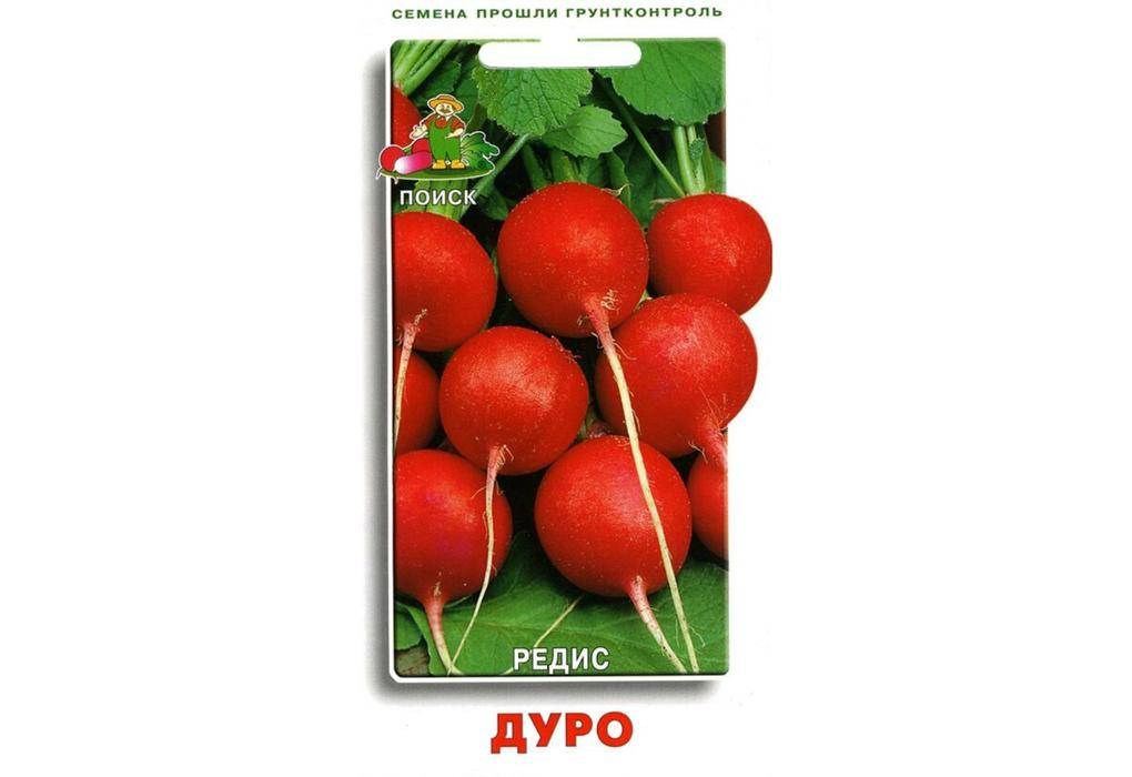 Редис Дуро Краснодарское