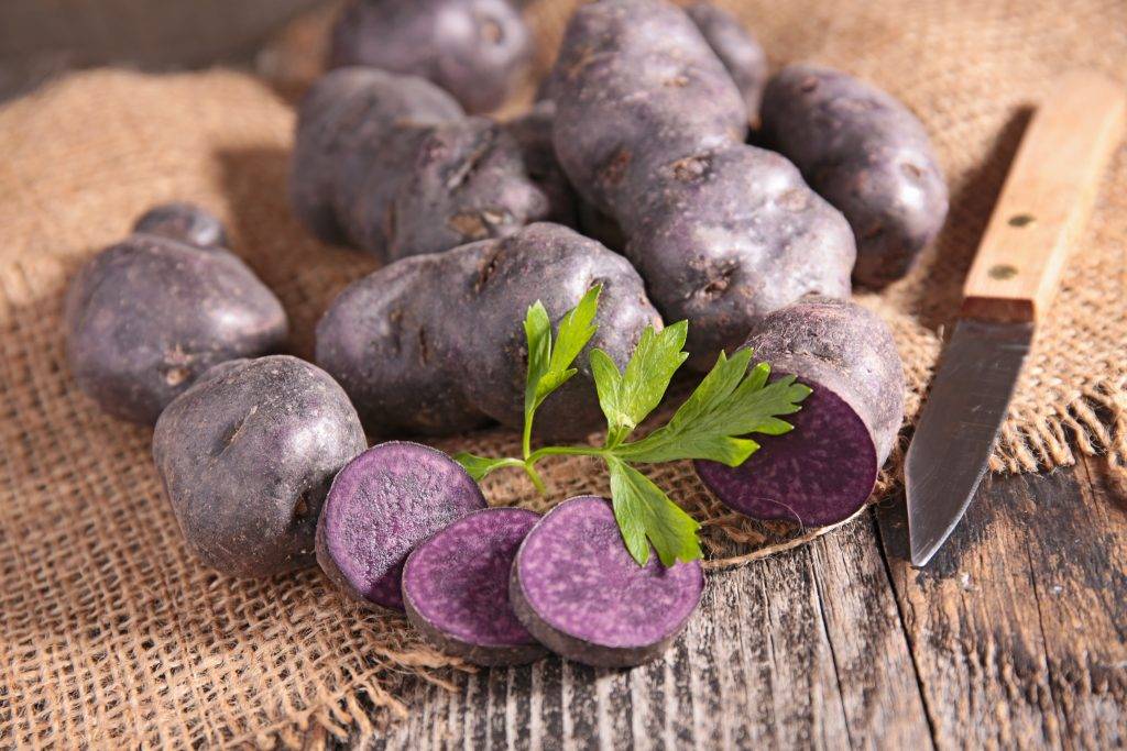 ᐉ фиолетовые сорта картофеля: названия, выращивание, готовка - roza-zanoza.ru
