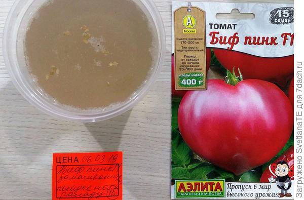 Томат биф бренди f1: характеристика и описание сорта пинк, фото вкуснятины, отзывы об урожайности помидоров