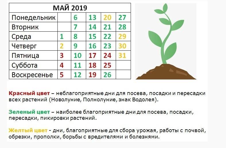 Лунный календарь для цветов на март месяц. Благоприятные дни для посадки томатов. Благоприятные дни для пересадки рассады. Благоприятные дни для посева рассады в марте. Март благоприятные дни для посадки томатов.