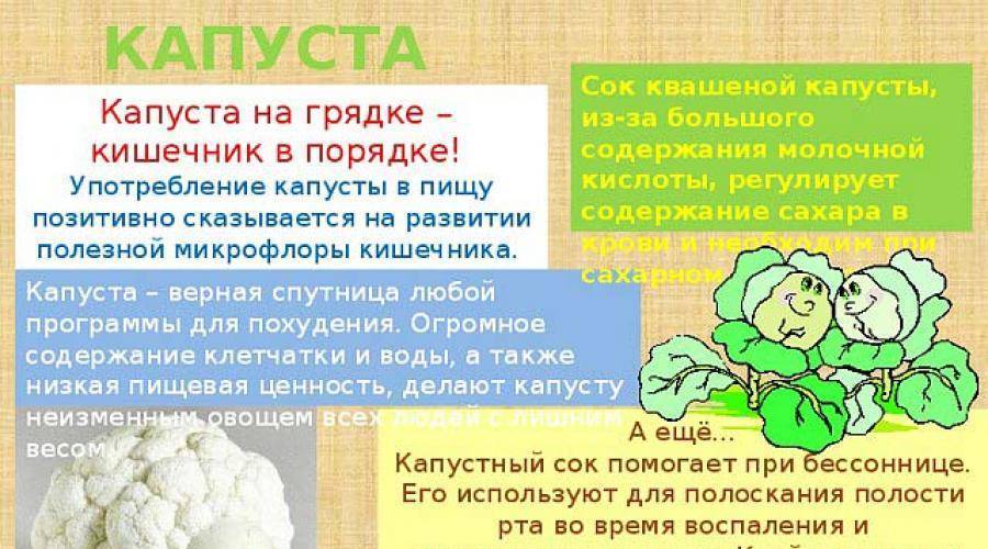 Почему пучит от капусты. Польза капусты для детей. Чем полезна капуста. Счем полезно капуста. Чем полезна цветная капуста.