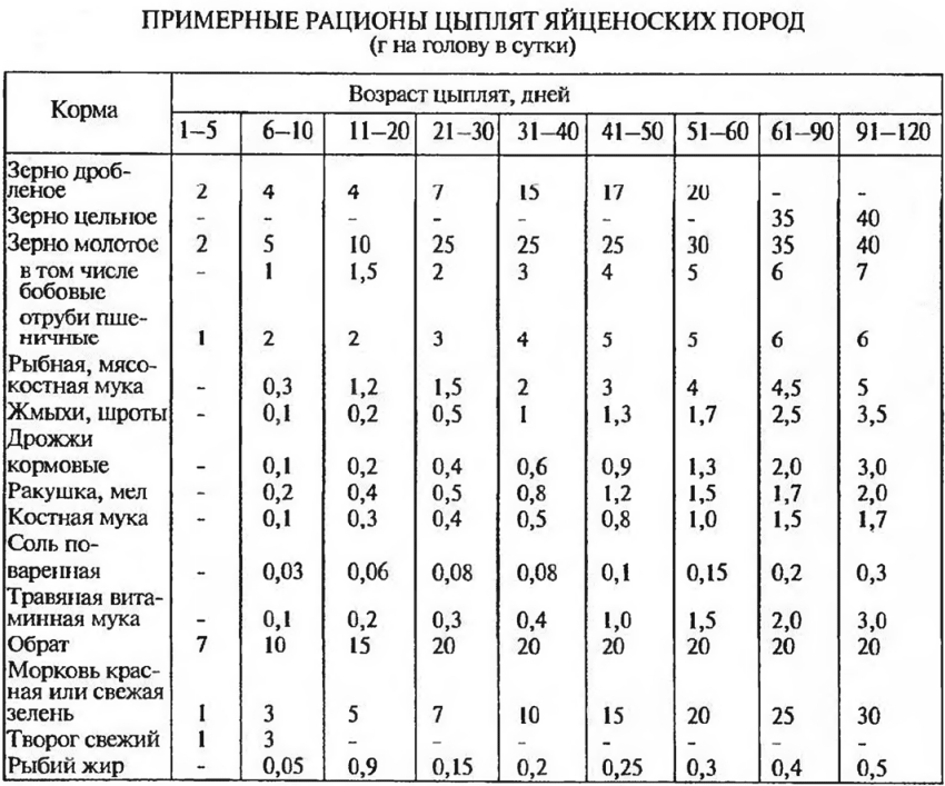 Чем кормить кур несушек в домашних условиях