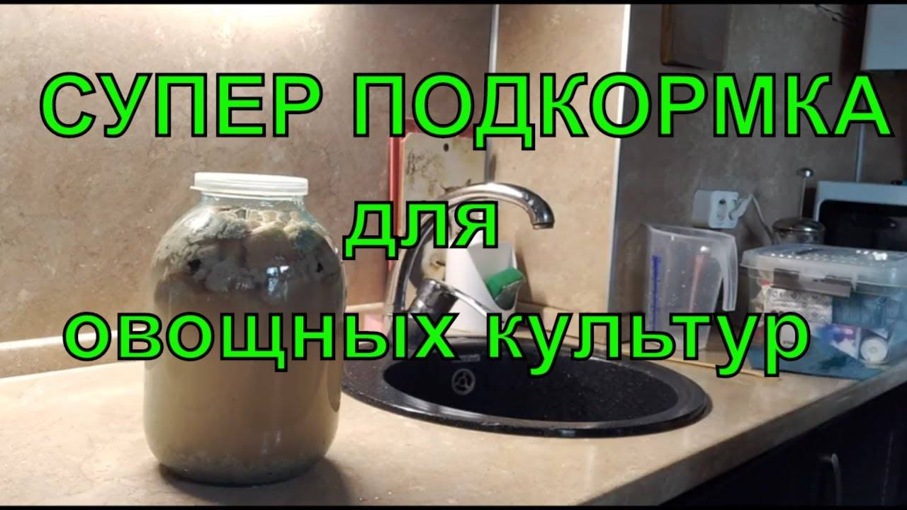 Подкормка хлебом огурцы и помидоры. Хлебная подкормка. Хлебная подкормка для огурцов. Подкормка растений настоем из хлеба. Удобрение из дрожжей.