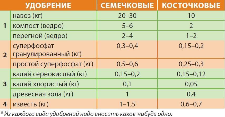 Как развести золу для подкормки огурцов. Нормы внесения удобрений. Таблица внесения удобрений. Схема внесения Минеральных удобрений. Состав удобрений для растений.