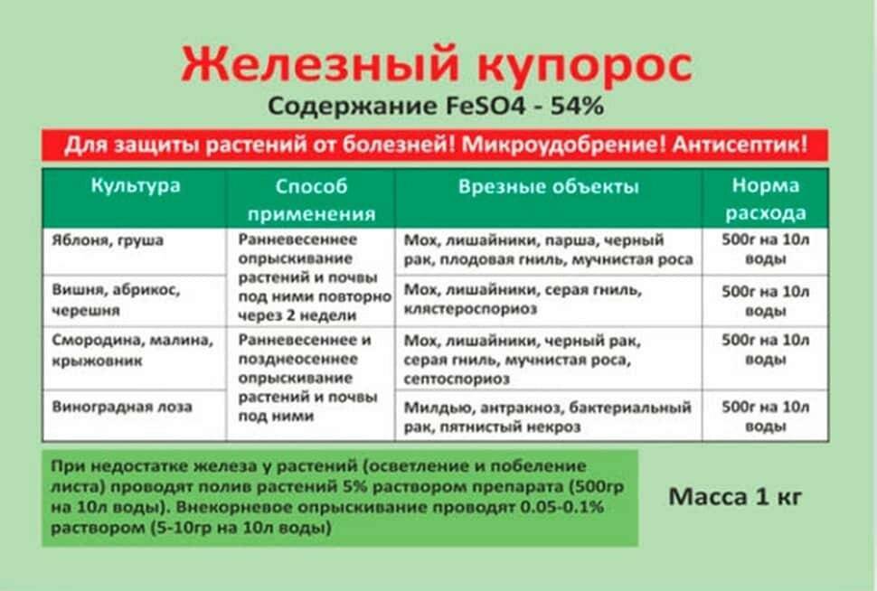 Как обработать осенью сад железным купоросом