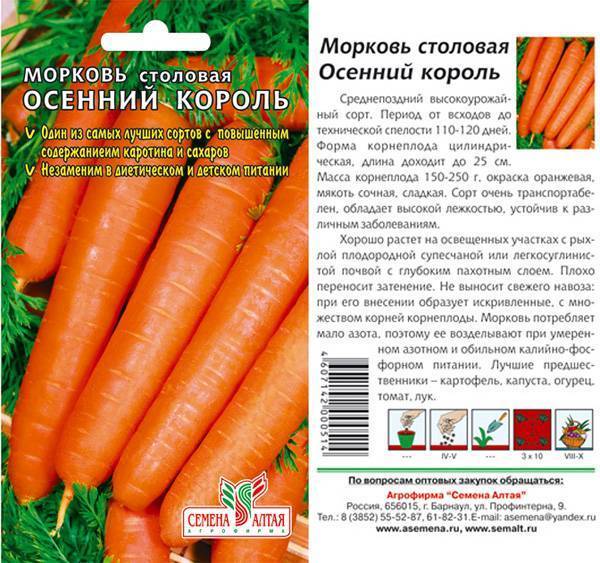 Семена моркови – лучшие сорта для открытого грунта (фото)