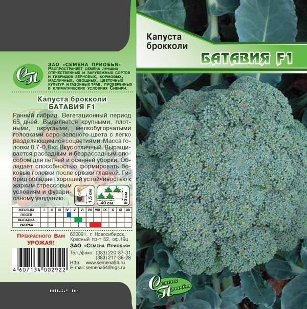 Капуста брокколи фиеста: описание гибрида и агротехника выращивания и ухода
