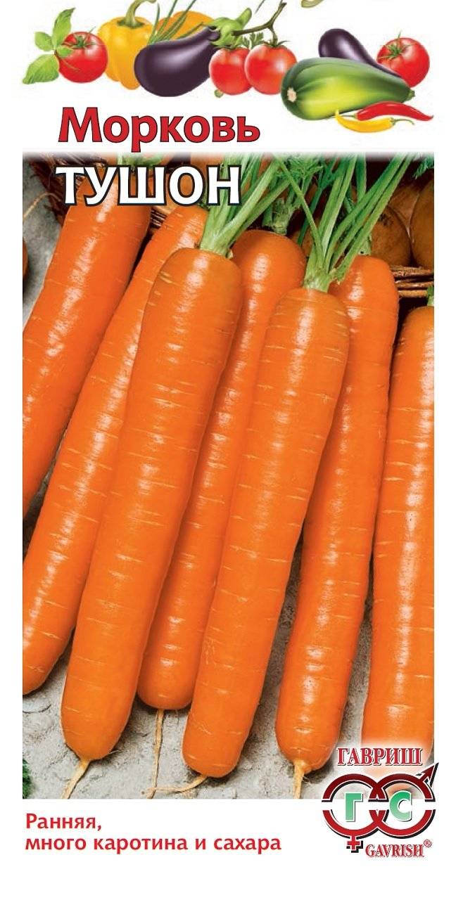 Сорт моркови тушон