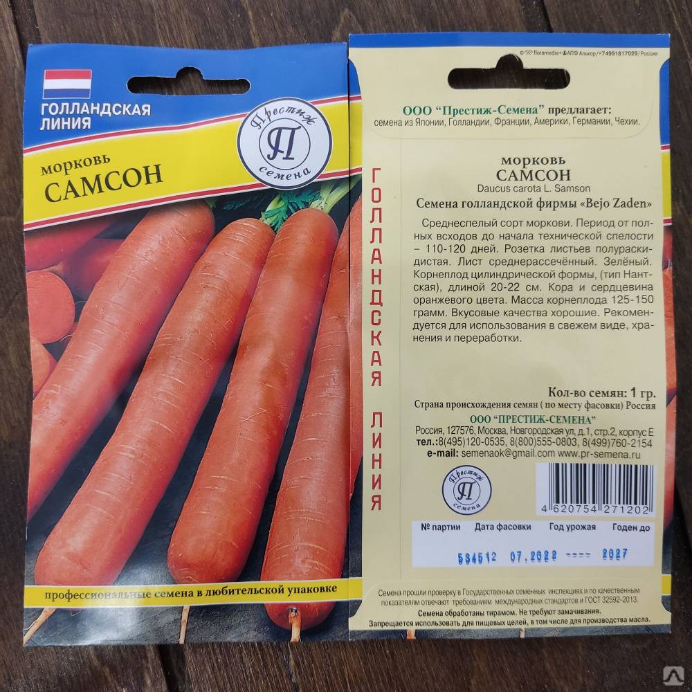 Морковь самсон: характеристика и описание сорта, выращивание и уход
