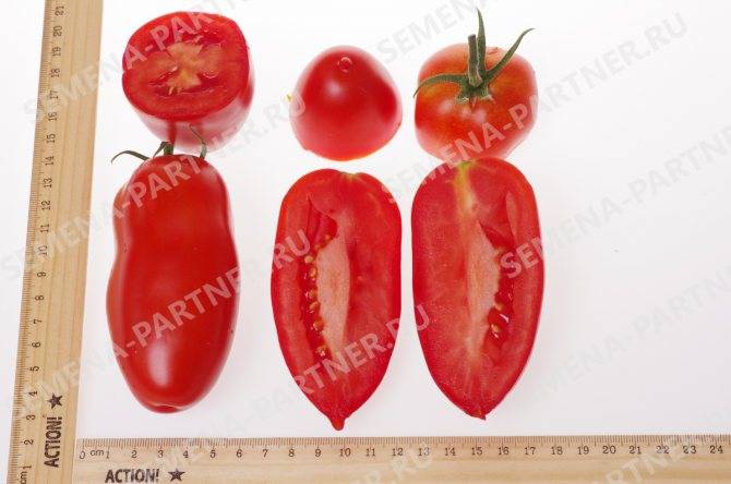 Томат искушение f1: характеристика и описание сорта, отзывы об урожайности помидоров, фото куста
