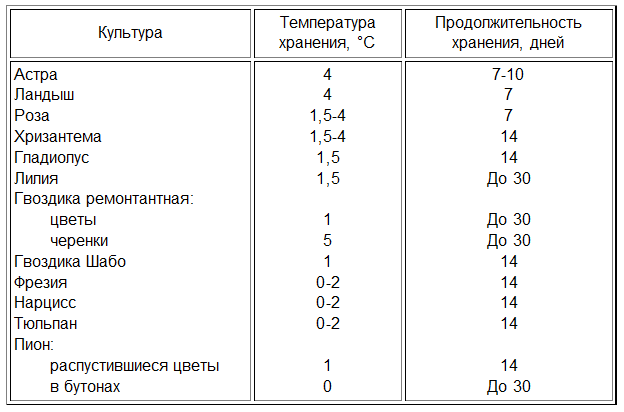 Способы сохранения тюльпанов в вазе помогут продлить срок их жизни : мозаика newsland – комментарии, дискуссии и обсуждения новости.