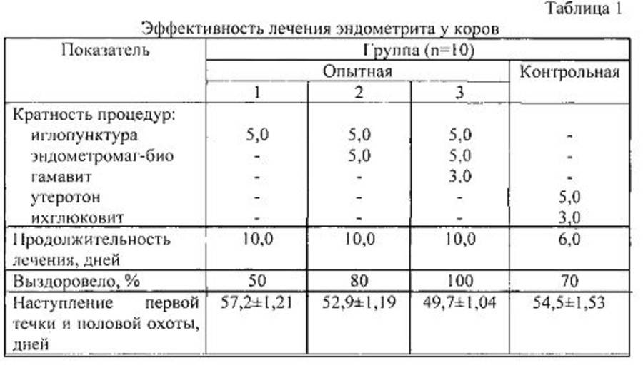 Лечение эндометрита у коров