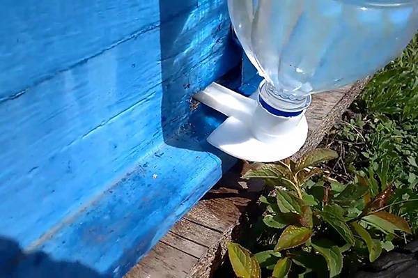 Поилка для пчёл: как сделать поилку из пластиковой бутылки и других подручных материалов своими руками, фото, видео