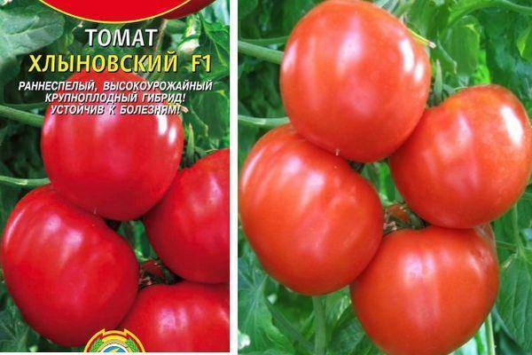 Томат хлыновский: характеристика и описание сорта, отзывы, фото, урожайность