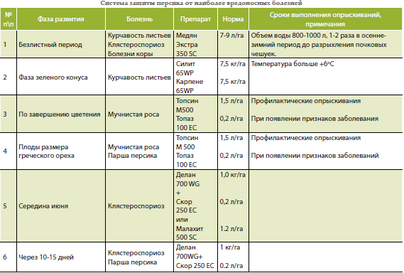 Как приготовить раствор медного купороса для опрыскивания помидор