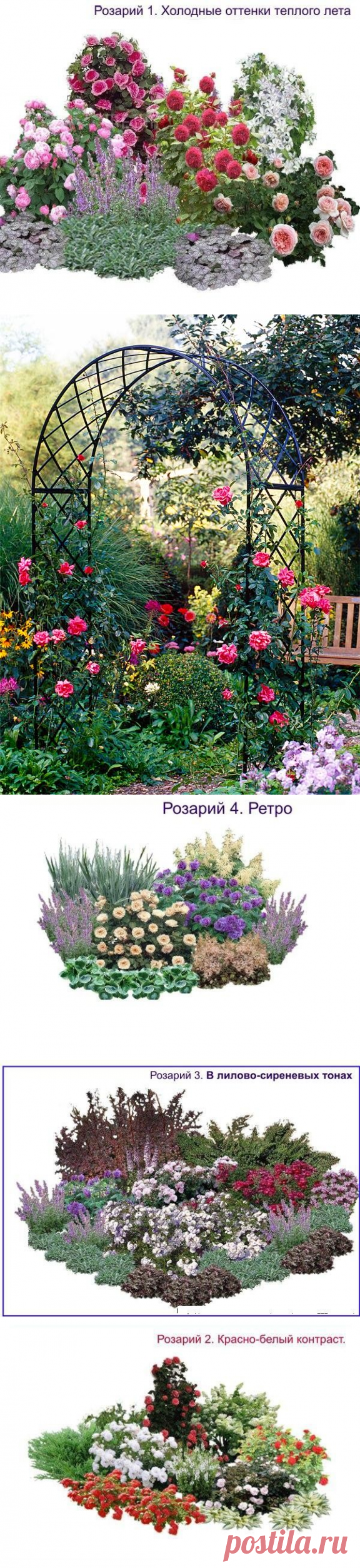 Создание розария в саду своими руками. выбор места на даче и сорта роз, подготовка участка. фото дизайна, видео
