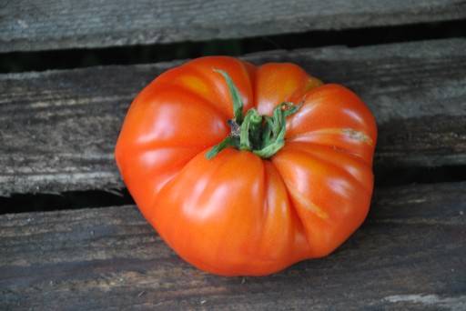 Томат гордость застолья f1: отзывы об урожайности помидоров, характеристика и описание сорта, видео и фото семян от фирмы партнер