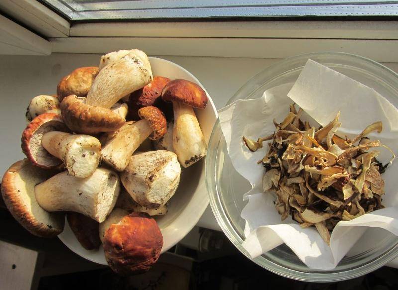 Как хранить сушёные грибы в домашних условиях: советы и рекомендации