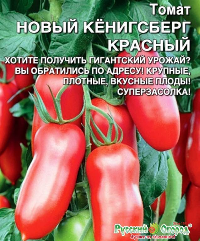 Томат кенигсберг — описание и характеристики среднеспелого сорта
