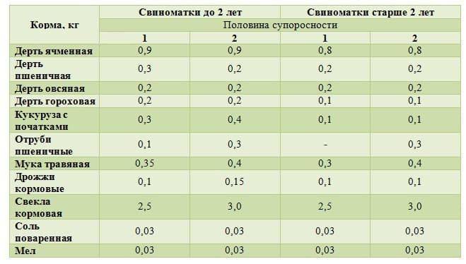 Как определить беременность свиньи в домашних условиях: способы диагностики