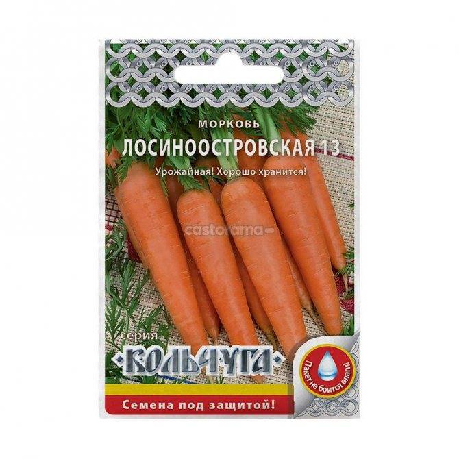 Как бороться с морковной мухой и её личинками: методы профилактики, средства для обработки (полива)