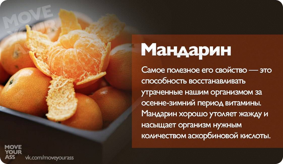 Цитрусовая диета на 7 дней - medside.ru