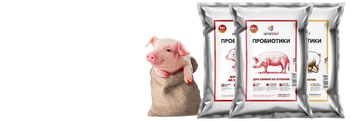 Кормовые добавки и стимуляторы роста для свиней