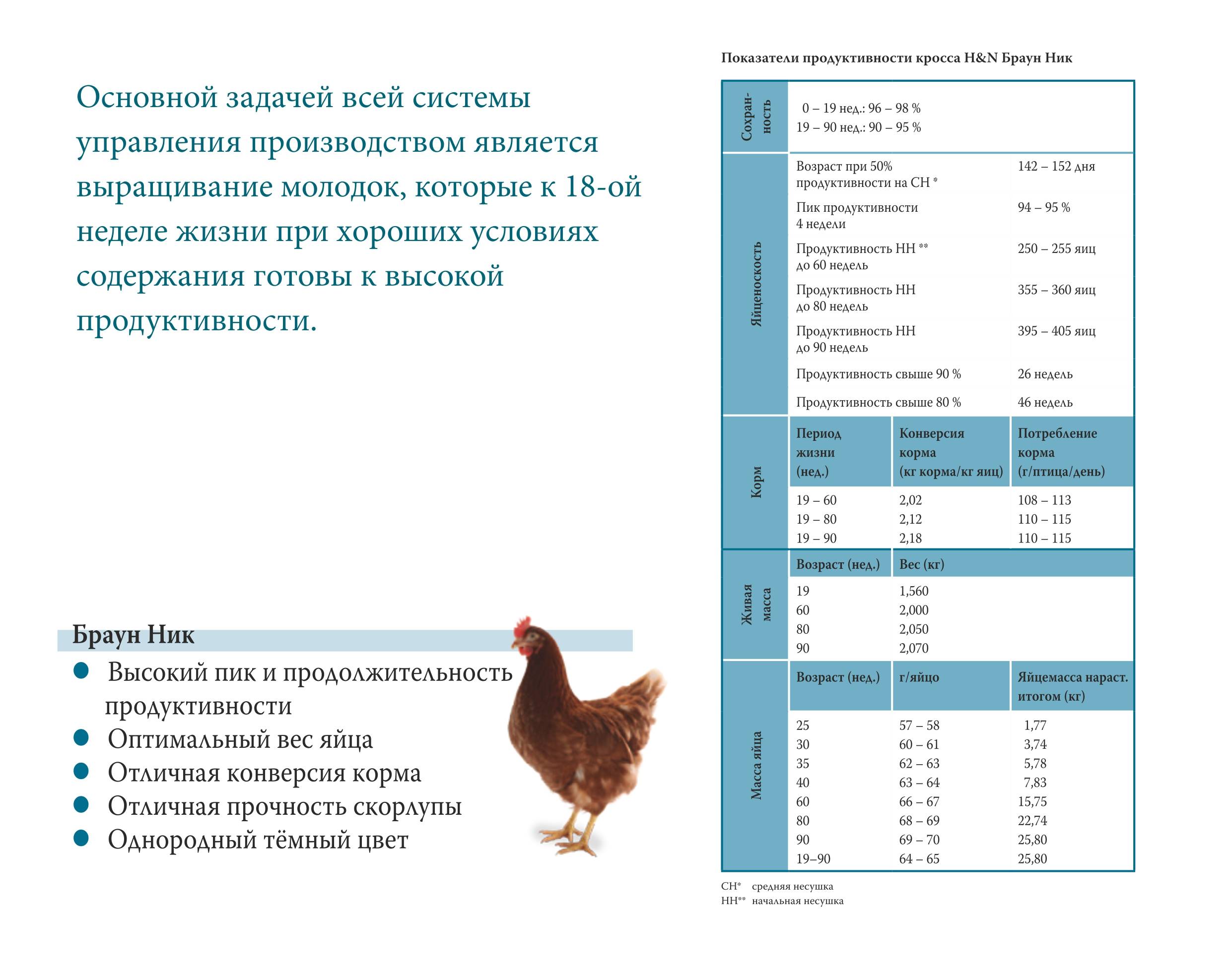 Норма кормления несушек в сутки