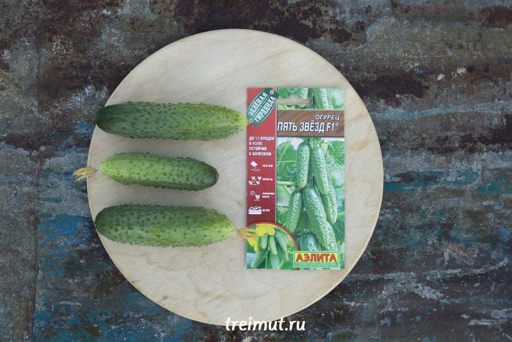 Купить Огурцы Марьина Роща Зеленая Волна