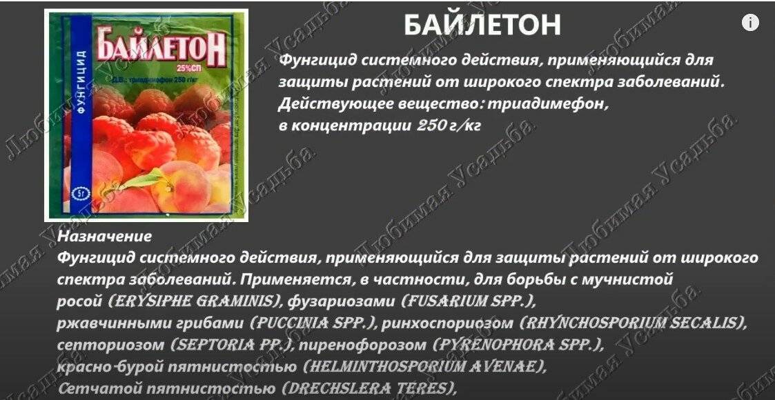 Фунгицид байлетон: инструкция по применению, состав и форма выпуска средства