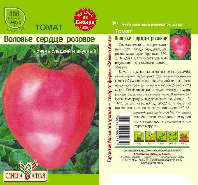 Сорт томата розовое сердце