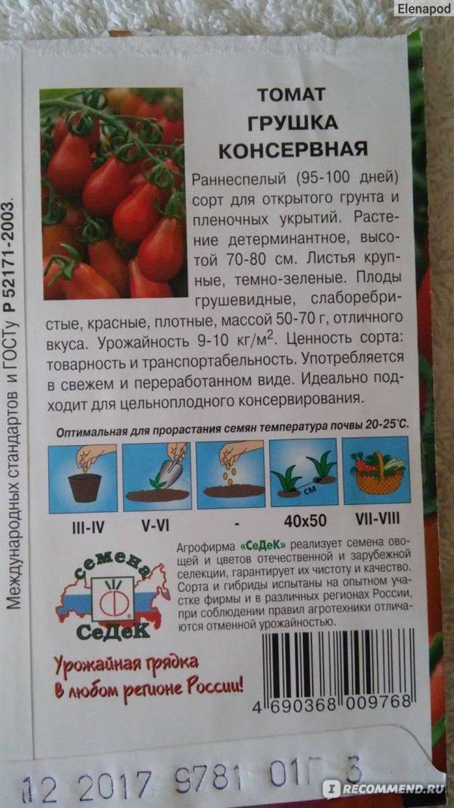 Томат котя