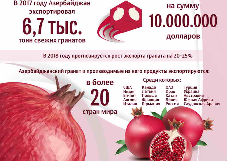 Как выбрать гранат спелый и сладкий, способы определения, видео
