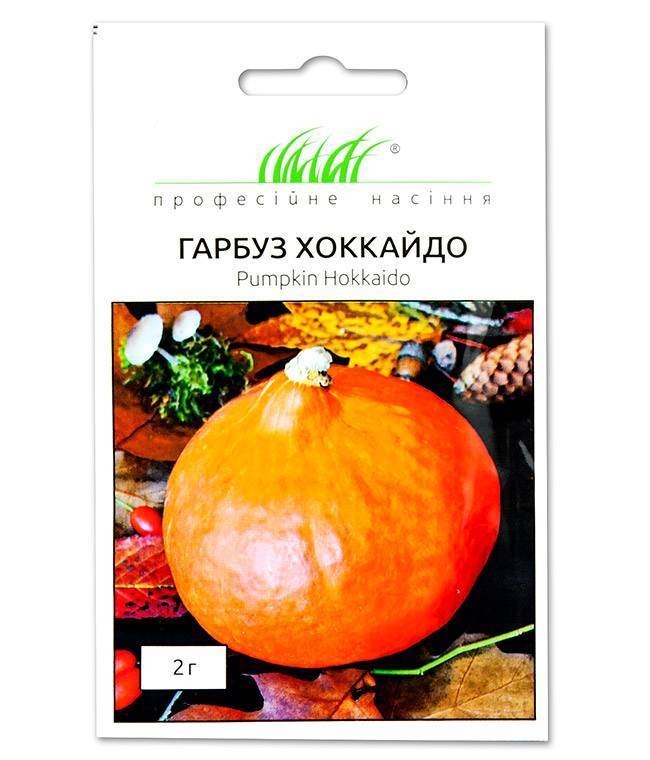 Японская тыква хоккайдо: описание сорта и уход