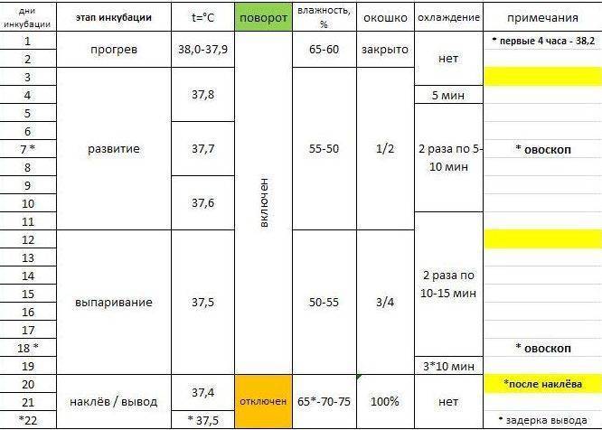 Вывод цесарок в инкубаторе: таблица и режим инкубации