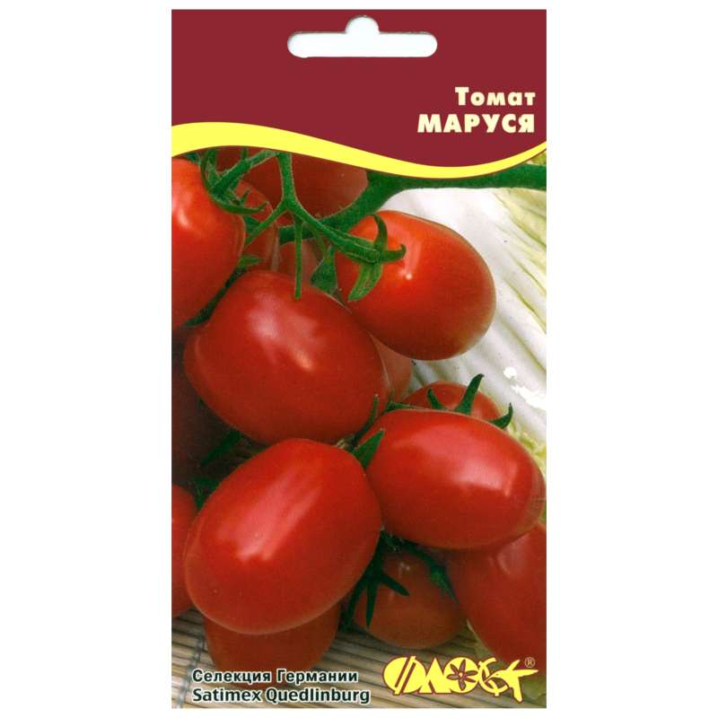 Томат маруся отзывы фото кто сажал