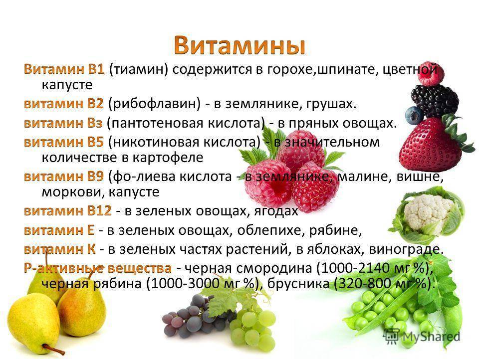 Капуста кольраби — польза и вред, рецепты применения и приготовления
