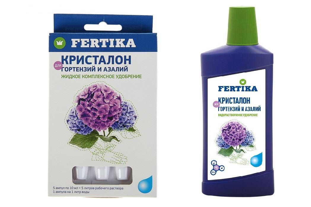 Как правильно вносить удобрения для гортензий