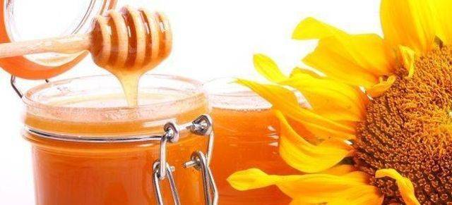 Чем полезен подсолнуховый мед