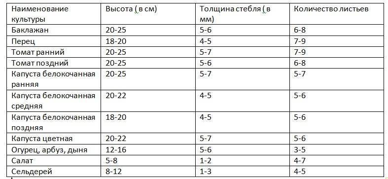 Когда лучше всего сажать помидоры в парник: температура почвы, состояние рассады, готовность теплицы