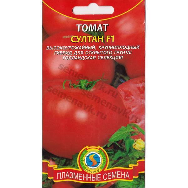 Описание сорта томатов султан и особенности ухода