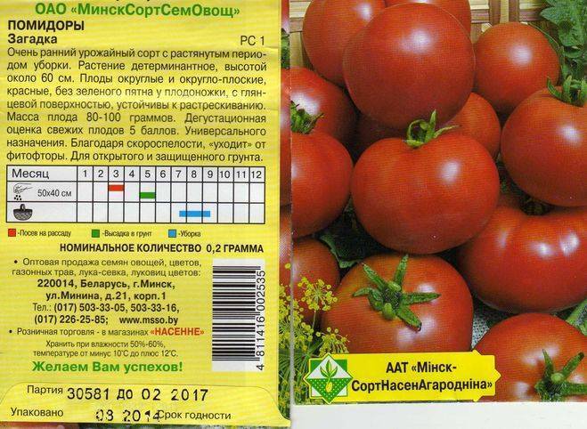 Томат загадка схема посадки