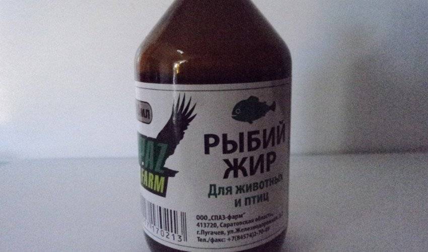 Рыбий жир для бройлеров и несушек: польза, дозировка, противопоказания